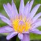 Image 05